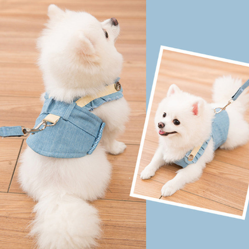 Harnais et laisse pour chien, Bleu lac