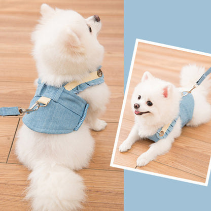 Harnais et laisse pour chien, Bleu lac