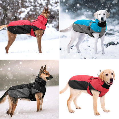 Manteau imperméable réfléchissant pour grand chien – photo 6